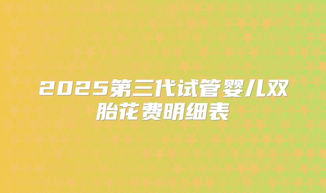2025第三代试管婴儿双胎花费明细表