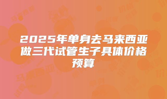 2025年单身去马来西亚做三代试管生子具体价格预算