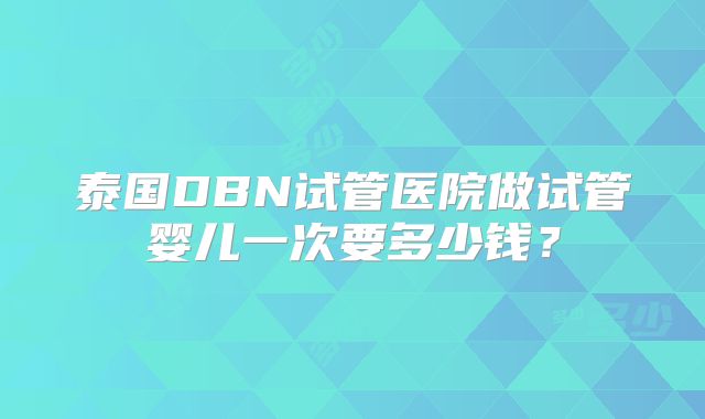 泰国DBN试管医院做试管婴儿一次要多少钱？