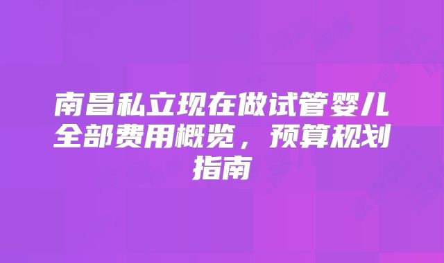 南昌私立现在做试管婴儿全部费用概览，预算规划指南
