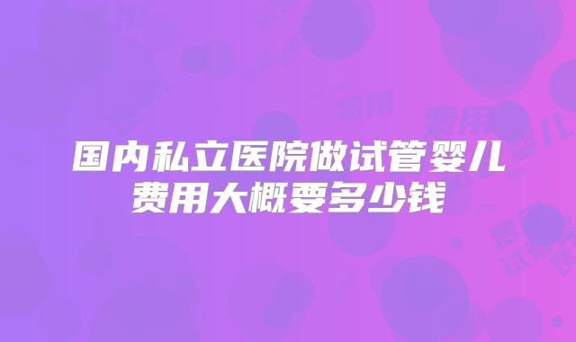 国内私立医院做试管婴儿费用大概要多少钱
