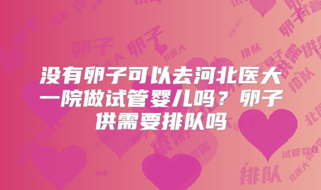 没有卵子可以去河北医大一院做试管婴儿吗？卵子供需要排队吗