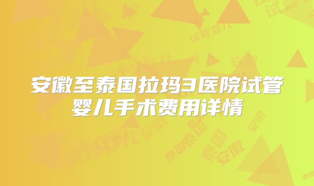安徽至泰国拉玛3医院试管婴儿手术费用详情
