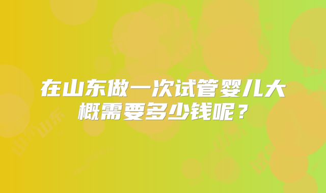 在山东做一次试管婴儿大概需要多少钱呢？