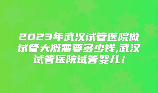 2023年武汉试管医院做试管大概需要多少钱,武汉试管医院试管婴儿！