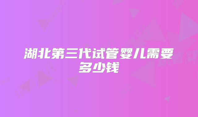 湖北第三代试管婴儿需要多少钱