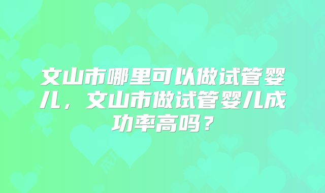 文山市哪里可以做试管婴儿，文山市做试管婴儿成功率高吗？