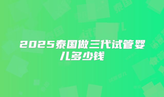 2025泰国做三代试管婴儿多少钱