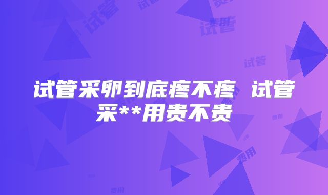 试管采卵到底疼不疼 试管采**用贵不贵
