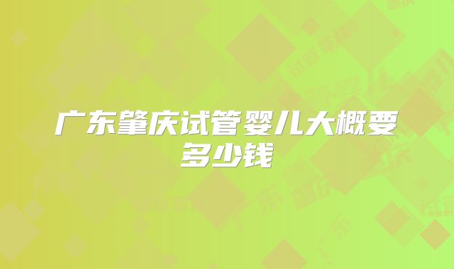 广东肇庆试管婴儿大概要多少钱