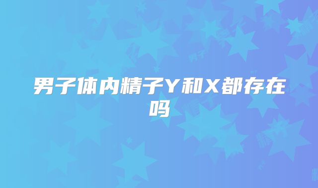 男子体内精子Y和X都存在吗