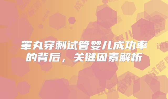 睾丸穿刺试管婴儿成功率的背后，关键因素解析