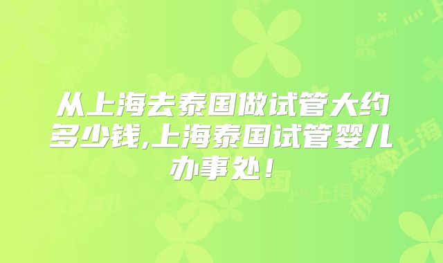 从上海去泰国做试管大约多少钱,上海泰国试管婴儿办事处！