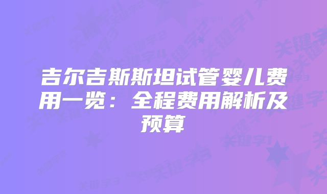 吉尔吉斯斯坦试管婴儿费用一览:全程费用解析及预算