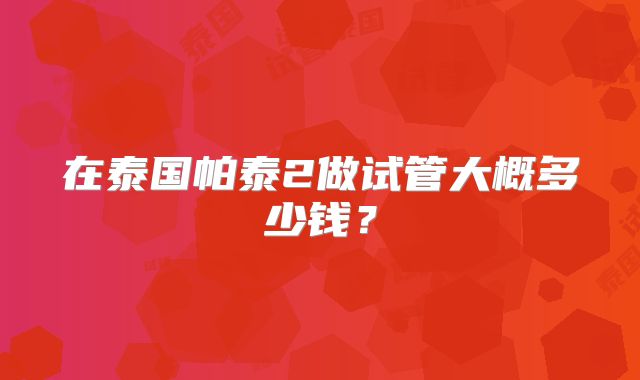 在泰国帕泰2做试管大概多少钱？