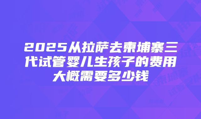 2025从拉萨去柬埔寨三代试管婴儿生孩子的费用大概需要多少钱