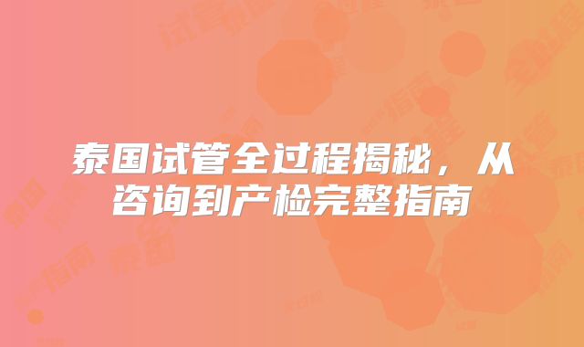 泰国试管全过程揭秘，从咨询到产检完整指南