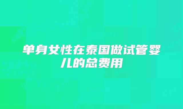 单身女性在泰国做试管婴儿的总费用