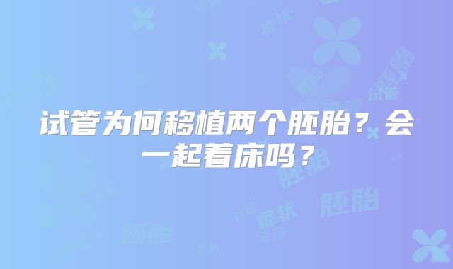 试管为何移植两个胚胎？会一起着床吗？