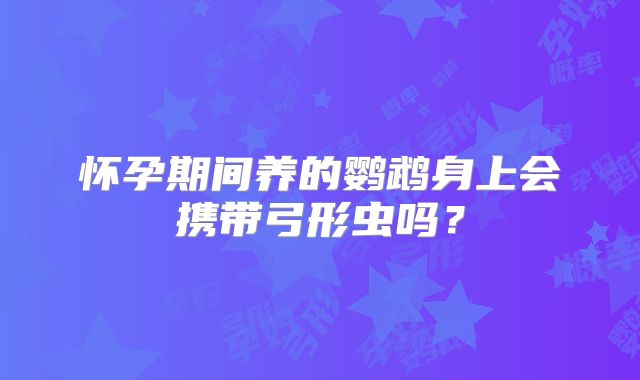 怀孕期间养的鹦鹉身上会携带弓形虫吗？