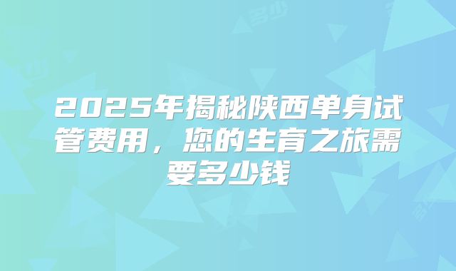 2025年揭秘陕西单身试管费用,您的生育之旅需要多少钱