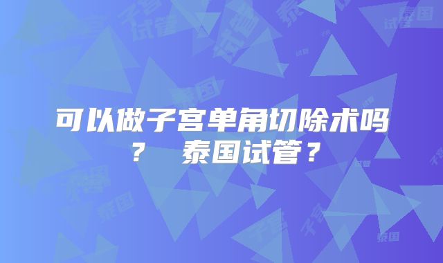 可以做子宫单角切除术吗？ 泰国试管？