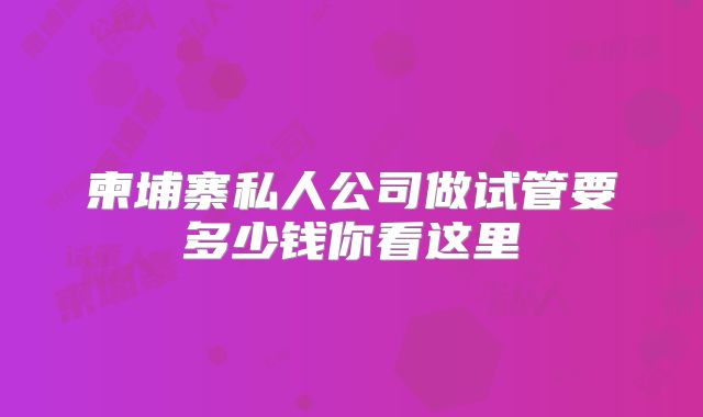 柬埔寨私人公司做试管要多少钱你看这里