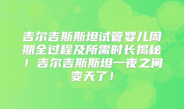 吉尔吉斯斯坦试管婴儿周期全过程及所需时长揭秘!吉尔吉斯斯坦一夜之间变天了!