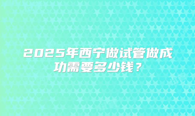 2025年西宁做试管做成功需要多少钱?