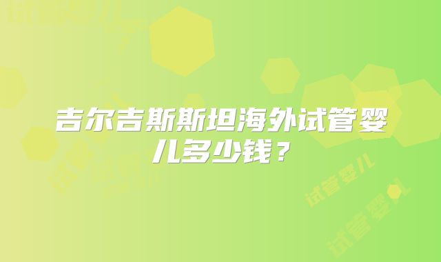 吉尔吉斯斯坦海外试管婴儿多少钱？