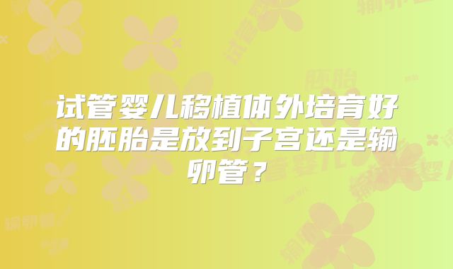 试管婴儿移植体外培育好的胚胎是放到子宫还是输卵管？
