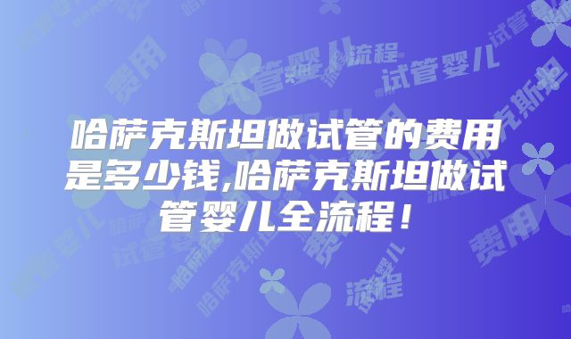 哈萨克斯坦做试管的费用是多少钱,哈萨克斯坦做试管婴儿全流程！