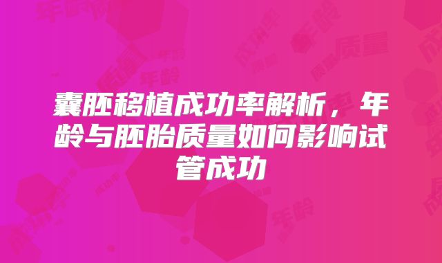 囊胚移植成功率解析，年龄与胚胎质量如何影响试管成功