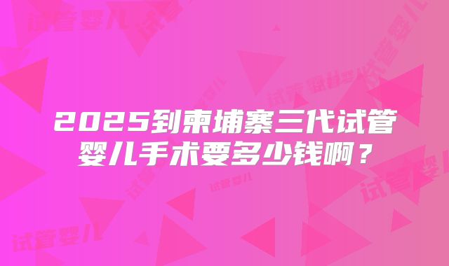 2025到柬埔寨三代试管婴儿手术要多少钱啊？