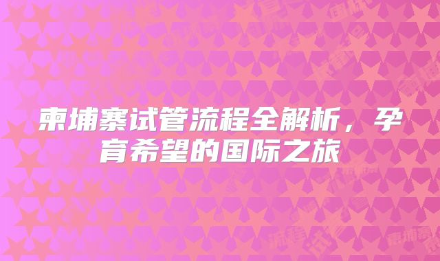 柬埔寨试管流程全解析，孕育希望的国际之旅