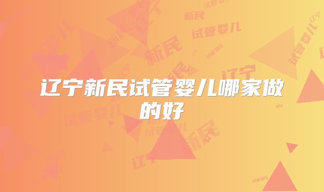 辽宁新民试管婴儿哪家做的好