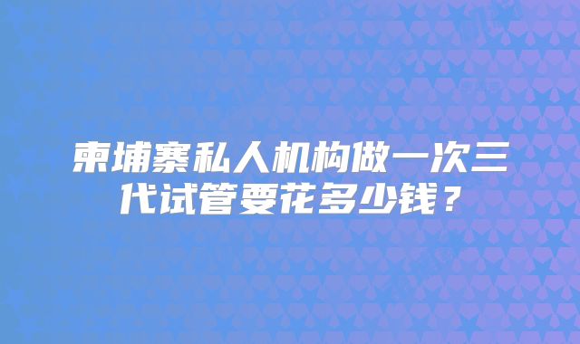 柬埔寨私人机构做一次三代试管要花多少钱？