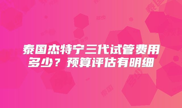 泰国杰特宁三代试管费用多少？预算评估有明细
