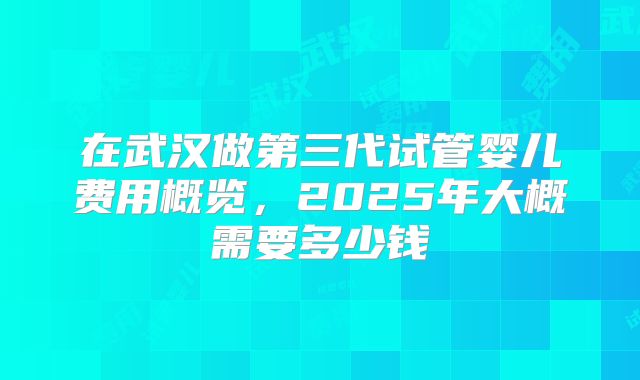 在武汉做第三代试管婴儿费用概览，2025年大概需要多少钱