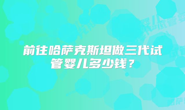 前往哈萨克斯坦做三代试管婴儿多少钱？
