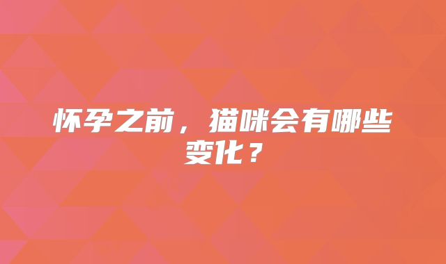 怀孕之前，猫咪会有哪些变化？