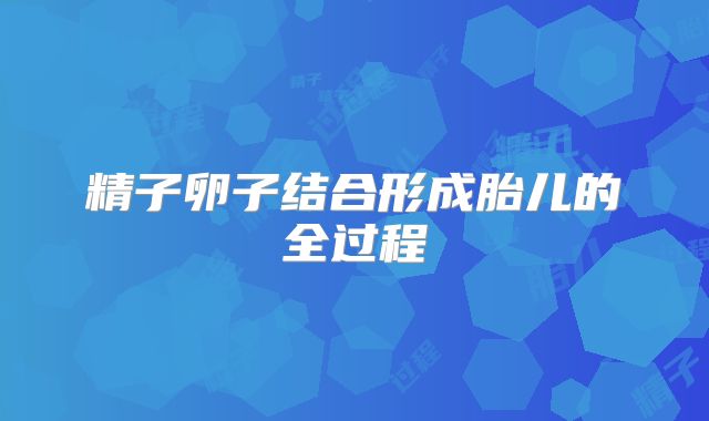 精子卵子结合形成胎儿的全过程