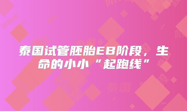 泰国试管胚胎EB阶段，生命的小小“起跑线”