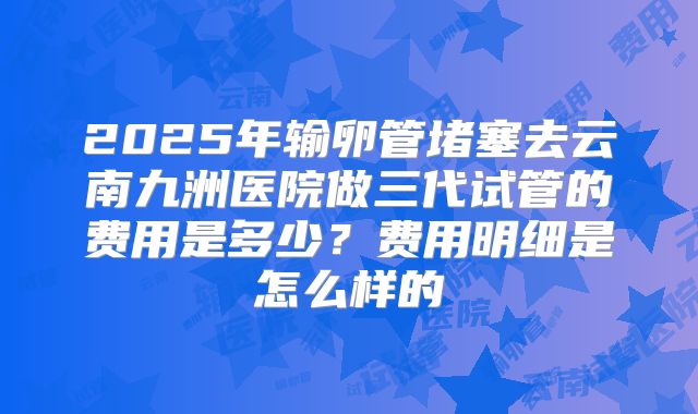 2025年输卵管堵塞去云南九洲医院做三代试管的费用是多少？费用明细是怎么样的