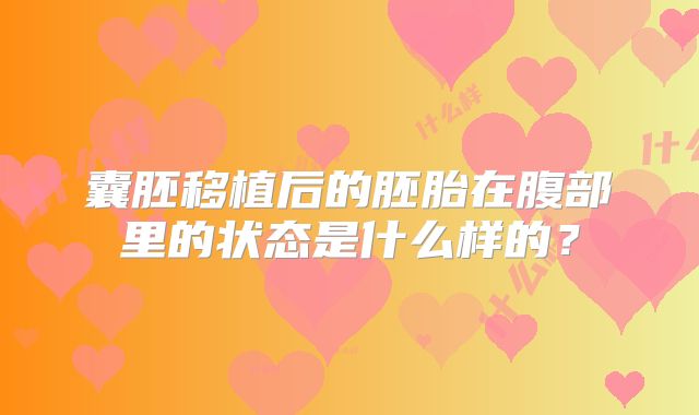 囊胚移植后的胚胎在腹部里的状态是什么样的？