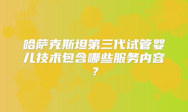哈萨克斯坦第三代试管婴儿技术包含哪些服务内容？