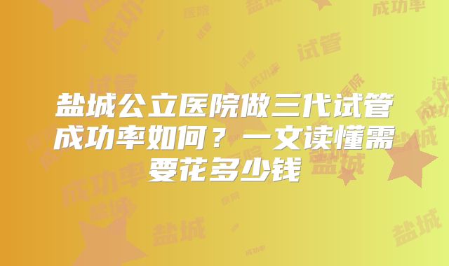 盐城公立医院做三代试管成功率如何？一文读懂需要花多少钱