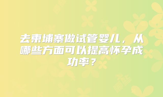 去柬埔寨做试管婴儿，从哪些方面可以提高怀孕成功率？