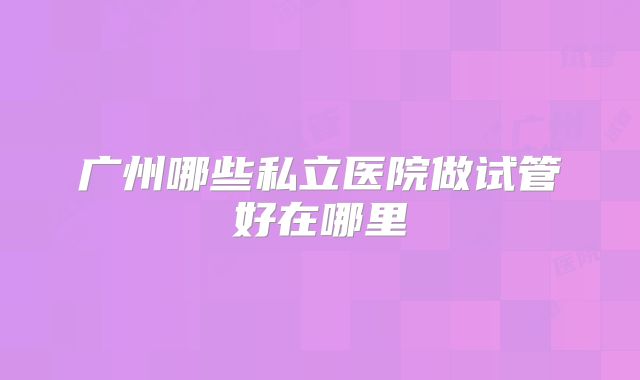 广州哪些私立医院做试管好在哪里