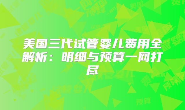 美国三代试管婴儿费用全解析：明细与预算一网打尽